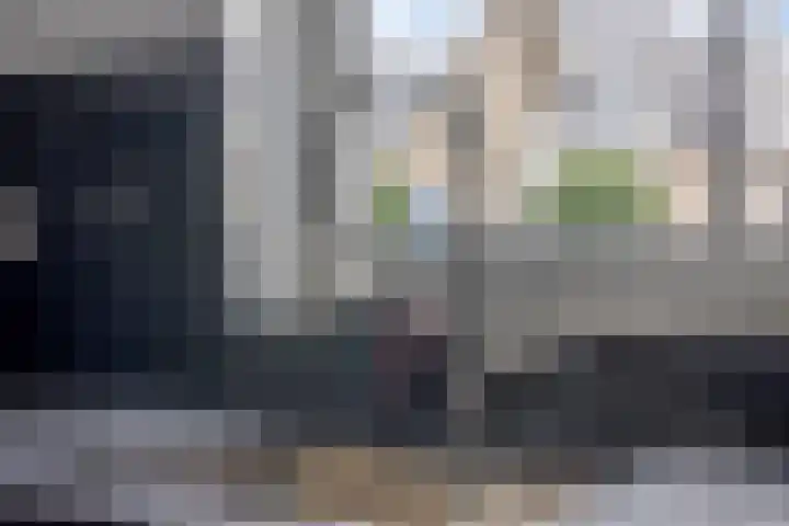 D. de Koninglaan 5 Hekelingen thumbnail 16
