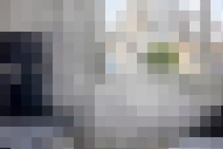 D. de Koninglaan 5 Hekelingen thumbnail 17