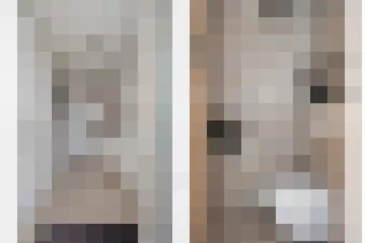 D. de Koninglaan 5 Hekelingen thumbnail 18