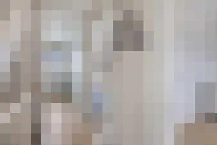 D. de Koninglaan 5 Hekelingen thumbnail 19