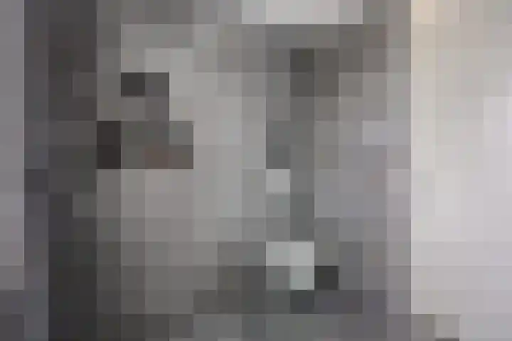 D. de Koninglaan 5 Hekelingen thumbnail 24