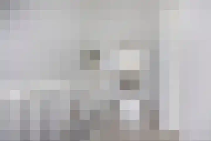 D. de Koninglaan 5 Hekelingen thumbnail 26