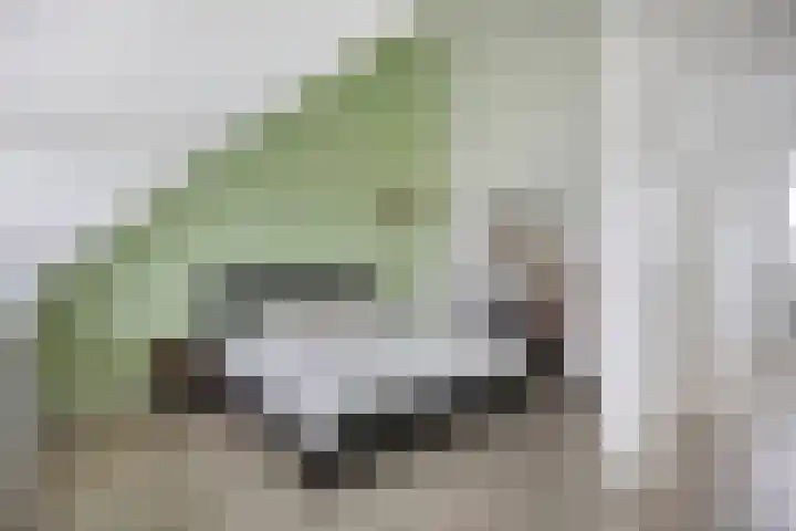 D. de Koninglaan 5 Hekelingen thumbnail 28