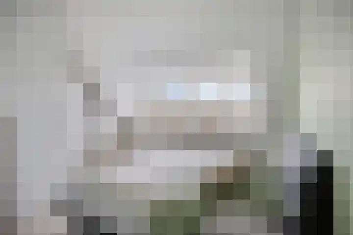 D. de Koninglaan 5 Hekelingen thumbnail 29