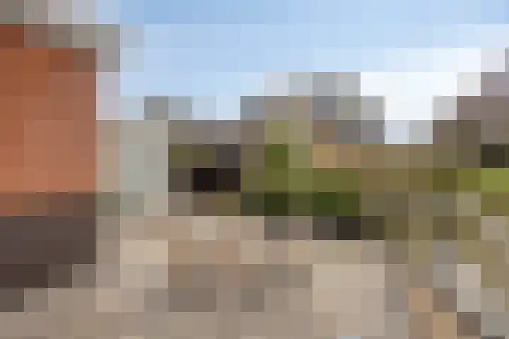 D. de Koninglaan 5 Hekelingen thumbnail 31