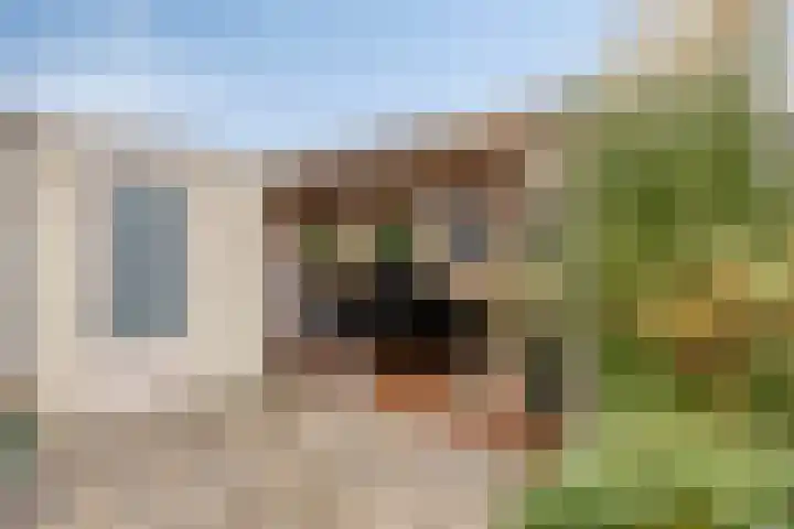 D. de Koninglaan 5 Hekelingen thumbnail 34