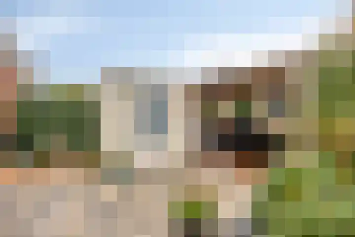 D. de Koninglaan 5 Hekelingen thumbnail 35
