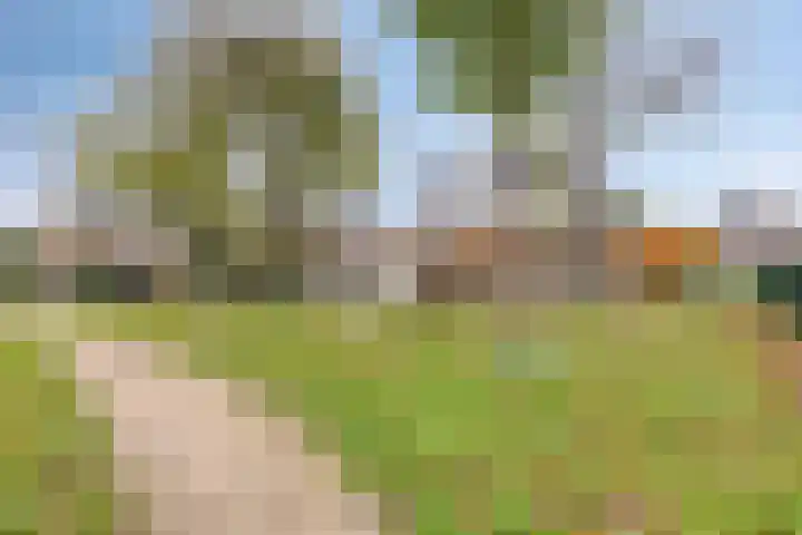 D. de Koninglaan 5 Hekelingen thumbnail 36