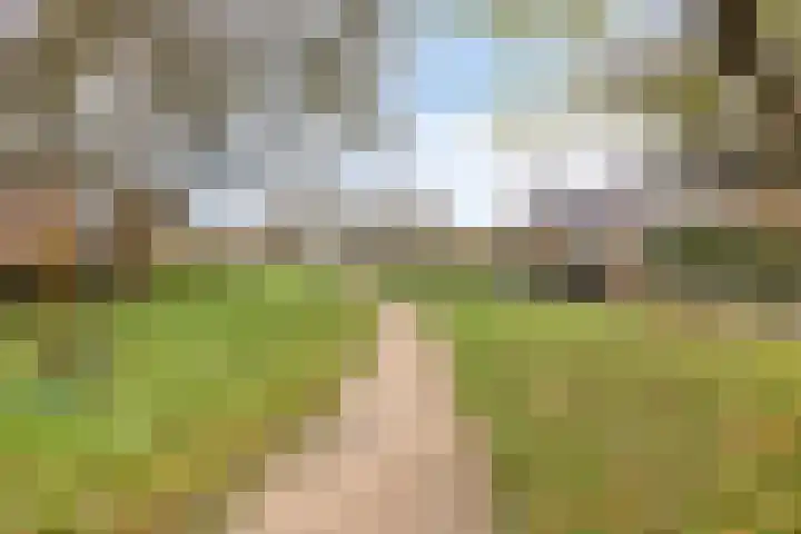 D. de Koninglaan 5 Hekelingen thumbnail 37