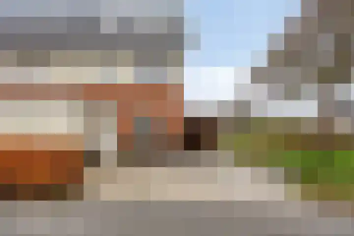 D. de Koninglaan 5 Hekelingen thumbnail 39
