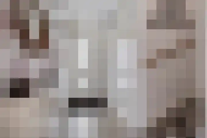 D. de Koninglaan 5 Hekelingen thumbnail 4