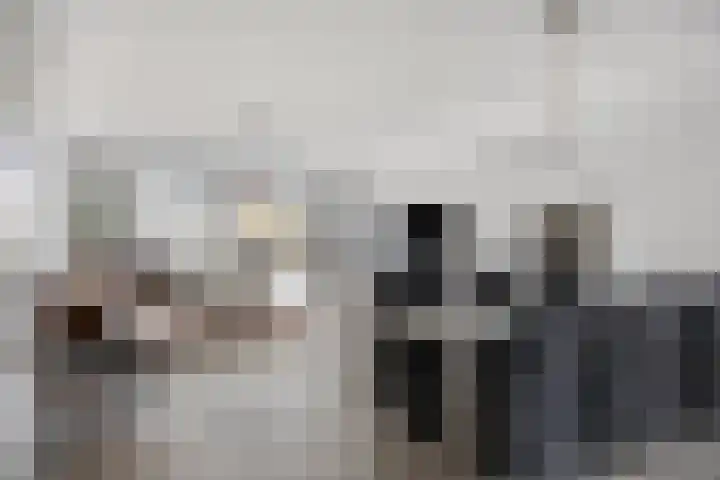 D. de Koninglaan 5 Hekelingen thumbnail 5
