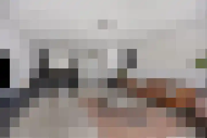 D. de Koninglaan 5 Hekelingen thumbnail 6