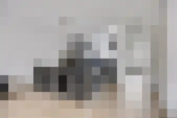 D. de Koninglaan 5 Hekelingen thumbnail 8