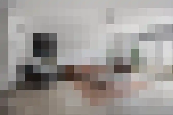 D. de Koninglaan 5 Hekelingen thumbnail 9