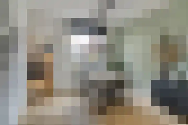 D. Doniastraat 153 Zaandam thumbnail 10