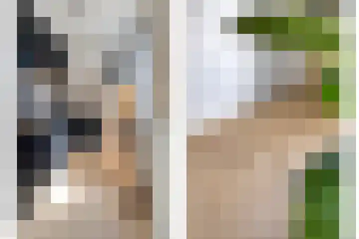 D. Doniastraat 153 Zaandam thumbnail 14