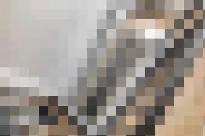 D. Doniastraat 153 Zaandam thumbnail 17