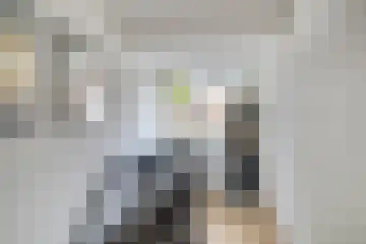 D. Doniastraat 153 Zaandam thumbnail 18