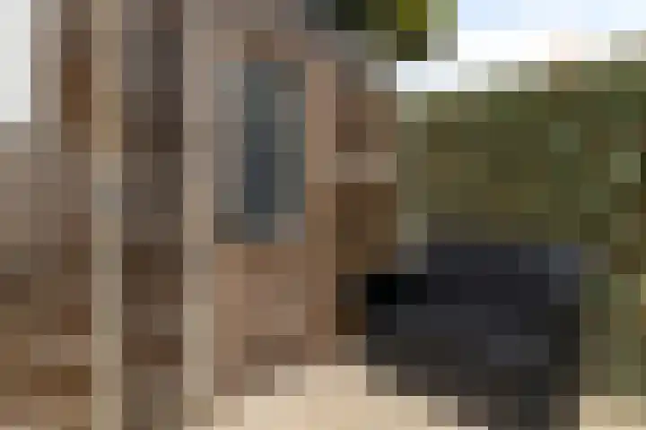 D. Doniastraat 153 Zaandam thumbnail 31