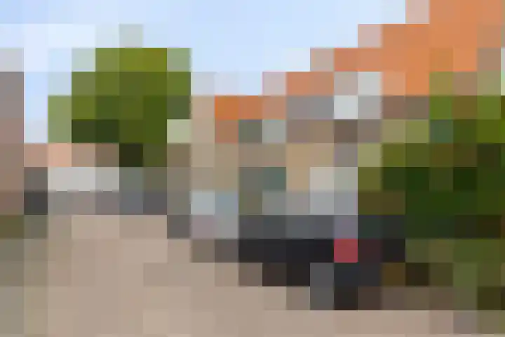 D. Doniastraat 153 Zaandam thumbnail 33