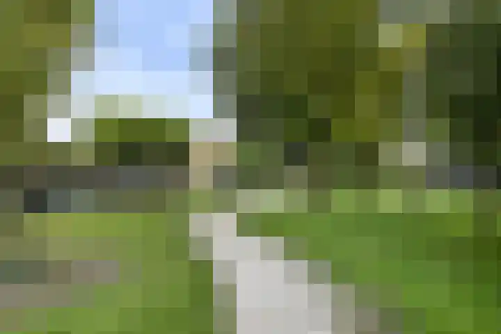 D. Doniastraat 153 Zaandam thumbnail 36