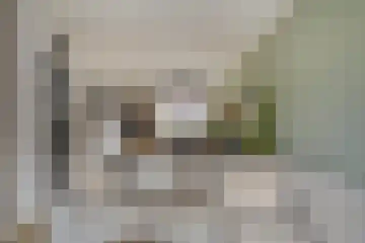 D. Doniastraat 153 Zaandam thumbnail 8