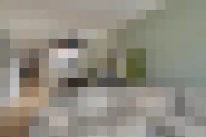 D. Doniastraat 153 Zaandam thumbnail 9