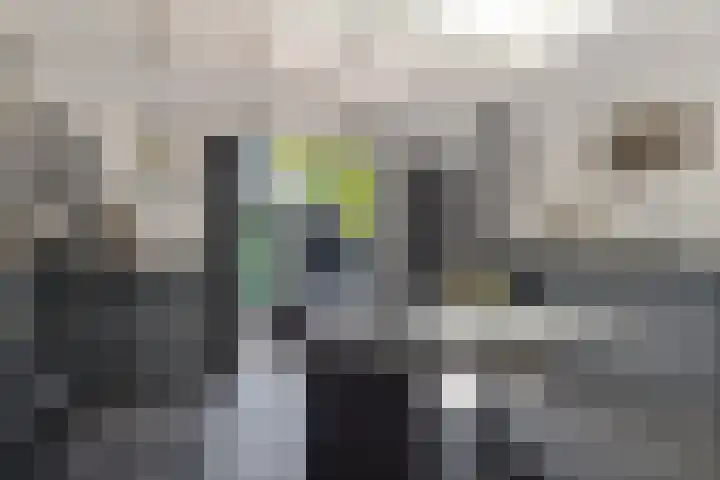 D. Doniastraat 74 Zaandam thumbnail 14