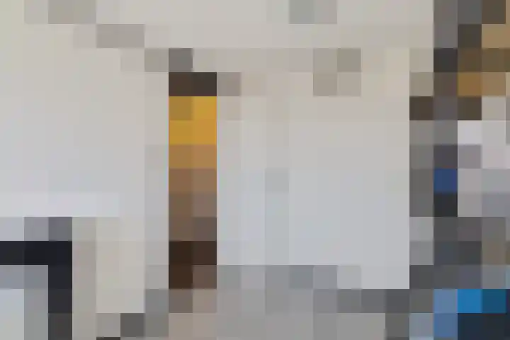 D. Doniastraat 74 Zaandam thumbnail 26