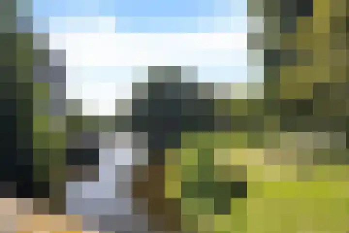 D. Doniastraat 74 Zaandam thumbnail 29