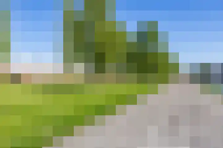 D.H.A.C. Hammarskjöldstraat 61 Groningen thumbnail 5