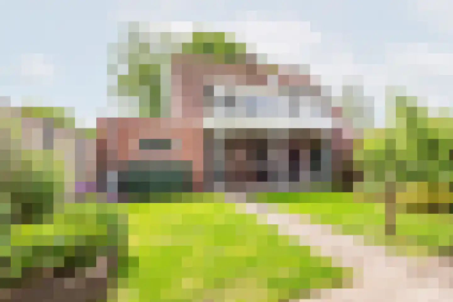 D H Keuperweg 7 B De Heurne thumbnail 39