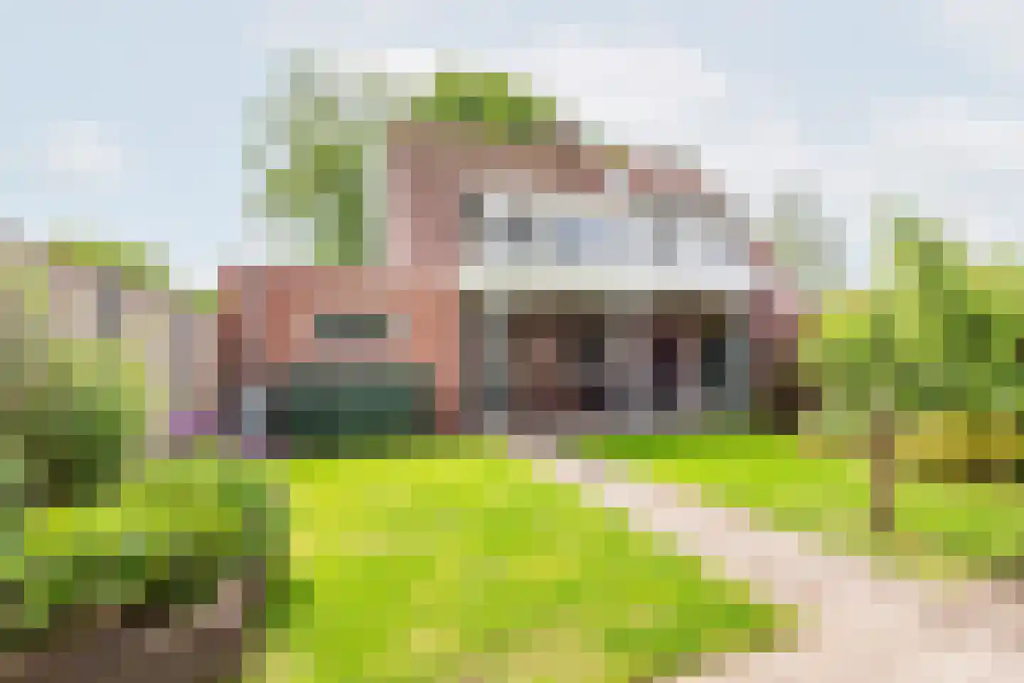 D H Keuperweg 7 B De Heurne thumbnail 4