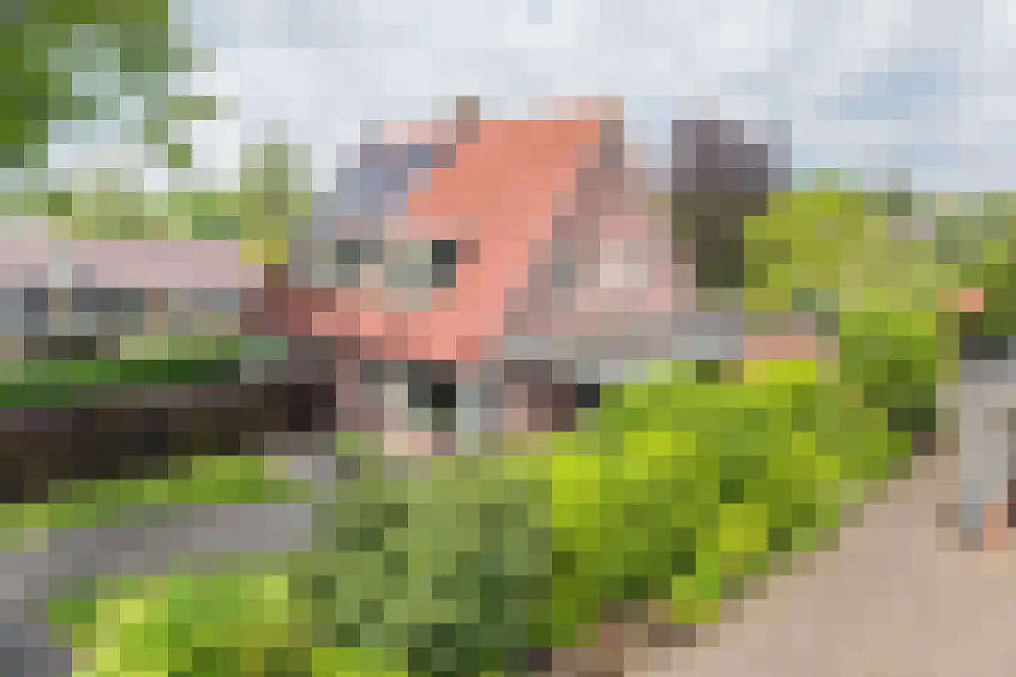 D H Keuperweg 7 B De Heurne thumbnail 49
