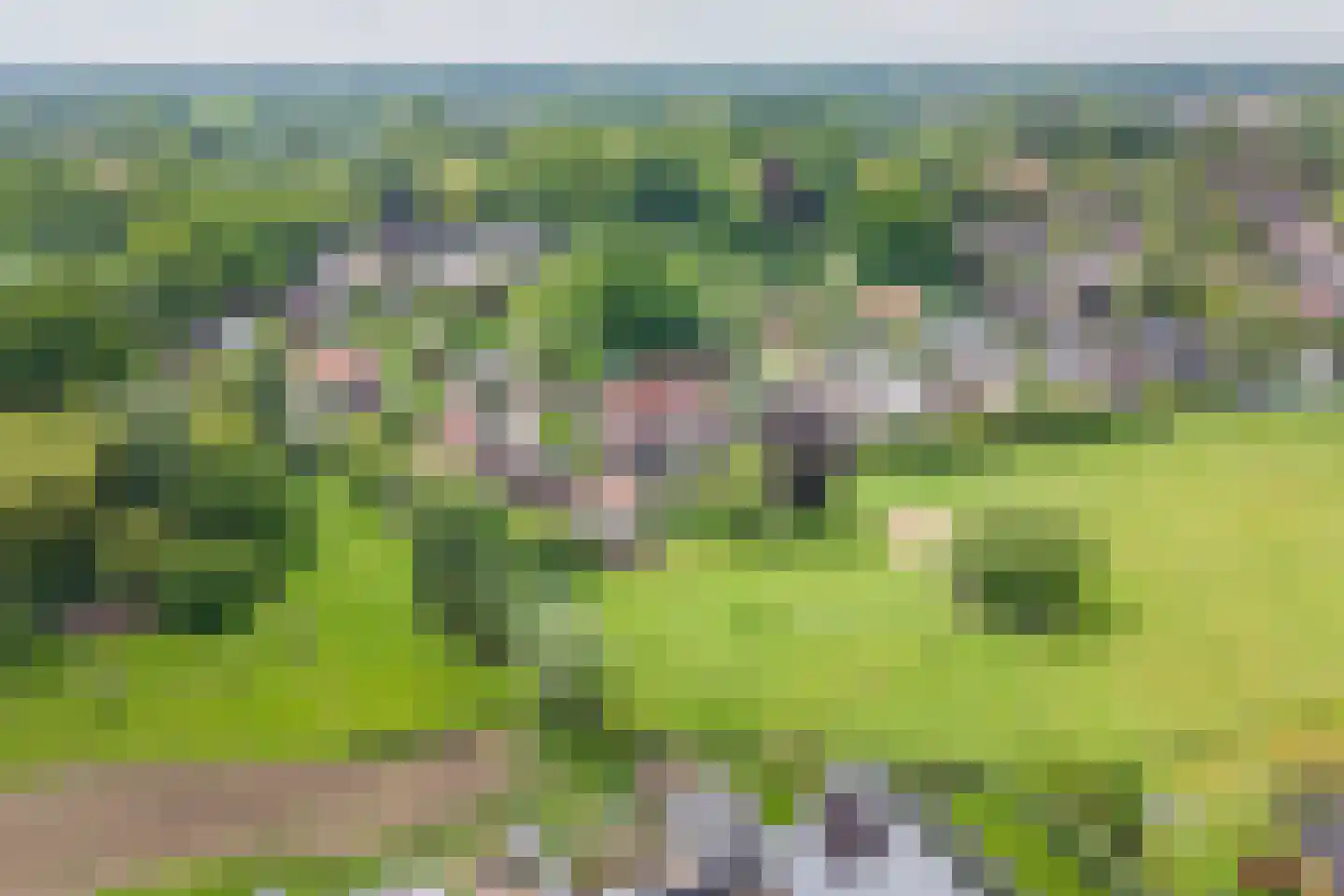 D H Keuperweg 7 B De Heurne thumbnail 53