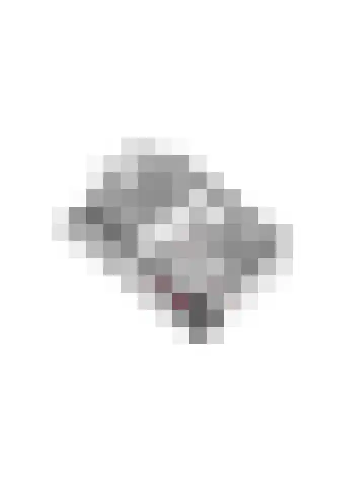 D H Keuperweg 7 B De Heurne thumbnail 61
