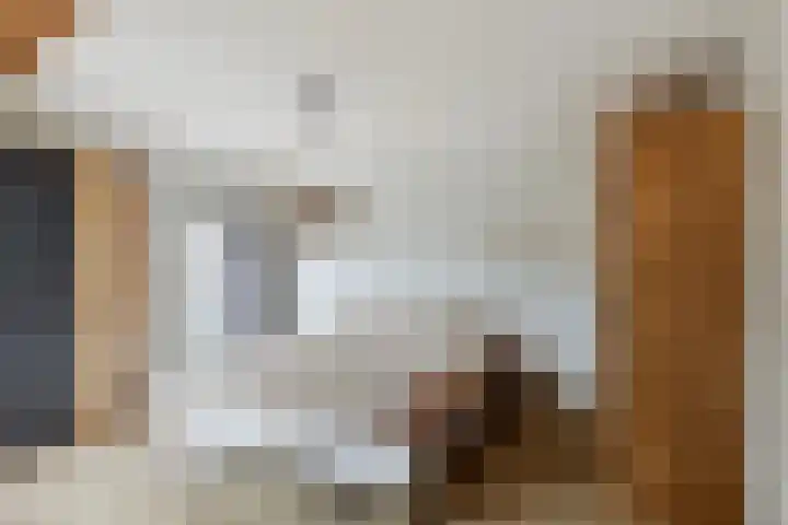 D H Keuperweg 8 De Heurne thumbnail 22