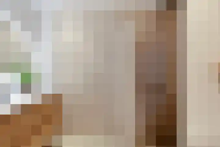 D H Keuperweg 8 De Heurne thumbnail 24