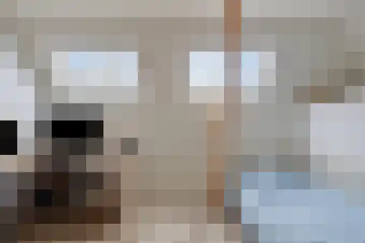 D H Keuperweg 8 De Heurne thumbnail 27