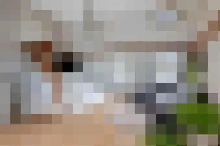 D H Keuperweg 8 De Heurne thumbnail 30