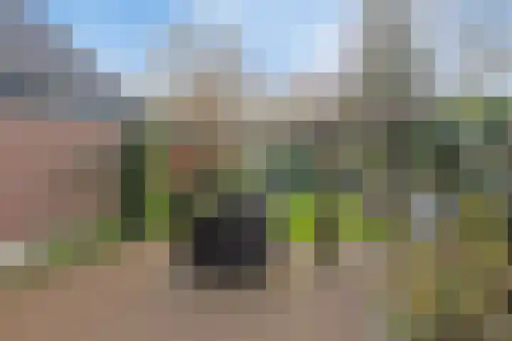 D H Keuperweg 8 De Heurne thumbnail 37