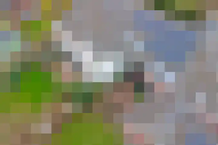 D H Keuperweg 8 De Heurne thumbnail 41