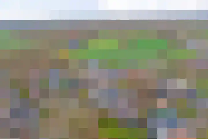 D H Keuperweg 8 De Heurne thumbnail 43