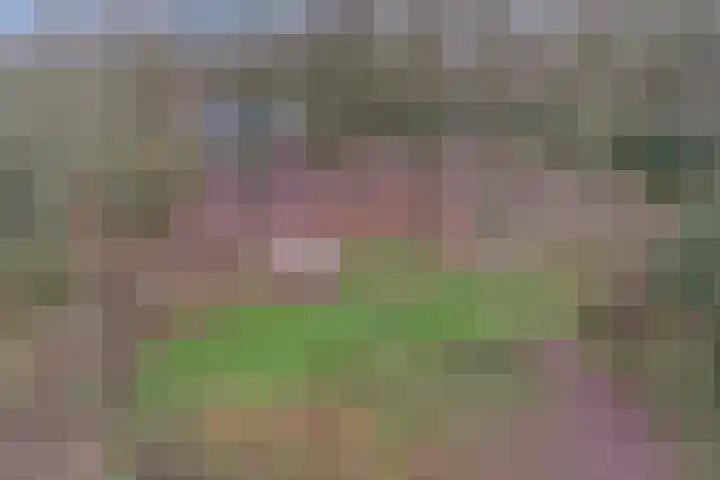 D H Keuperweg 8 De Heurne thumbnail 44