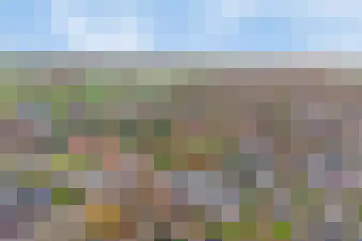 D H Keuperweg 8 De Heurne thumbnail 45