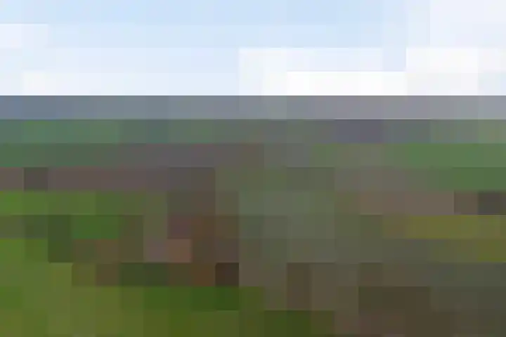 D H Keuperweg 8 De Heurne thumbnail 46