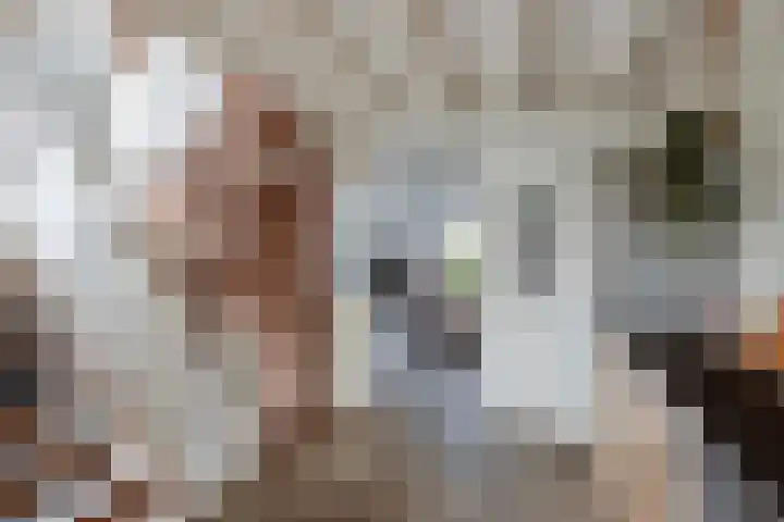 D H Keuperweg 8 De Heurne thumbnail 8