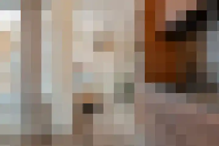 D H van der Scheerstraat 12 Coevorden thumbnail 17