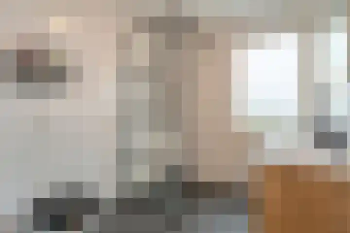 D H van der Scheerstraat 12 Coevorden thumbnail 29